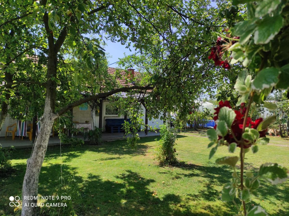 Home Of Nature - Kuca Prirode Odzak Exterior photo